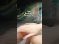 conteudo de qualidadeee #short #shorts #tiktok #ttk #trend #viral #fy #fyp #mecllovin