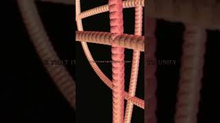 String Theory in 1 minute