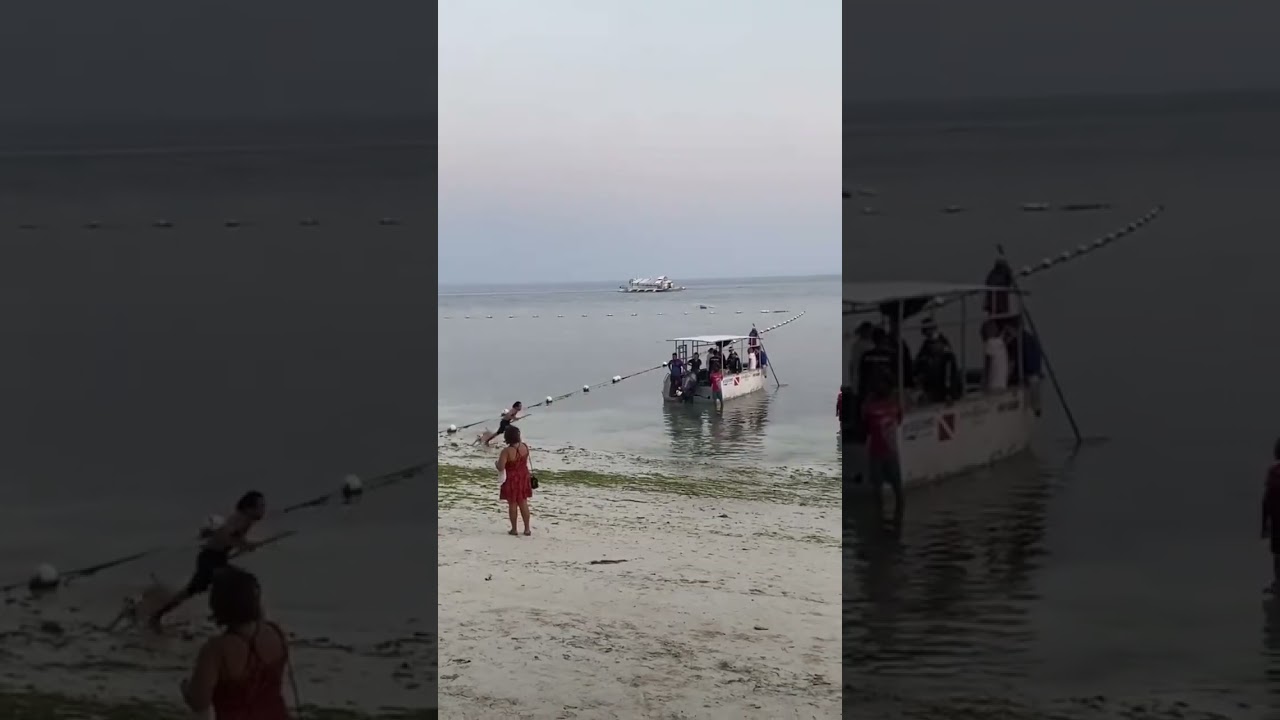 Surfing with Humanity: When Play Reminds Us of Connection