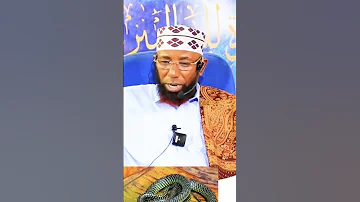 Sheikh Amin Ibro Islamic Video 
