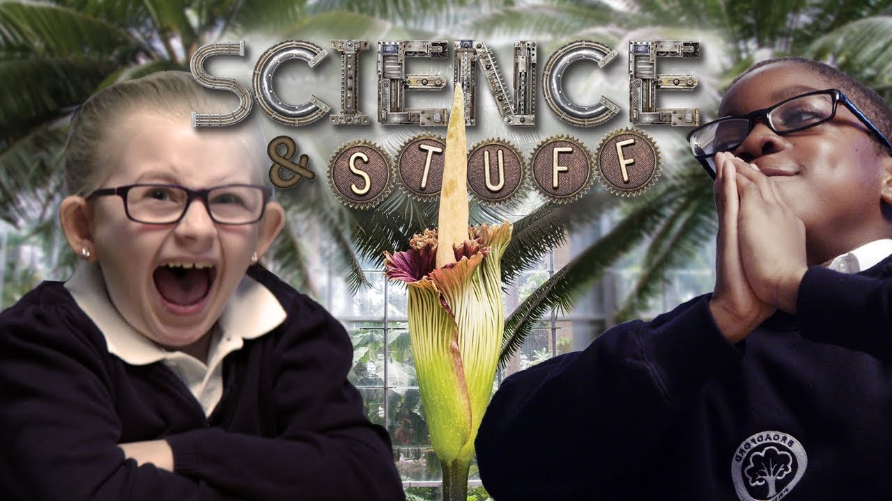 Kids react to the 'Smelliest plant' with Robin Ince - Science and Stuff