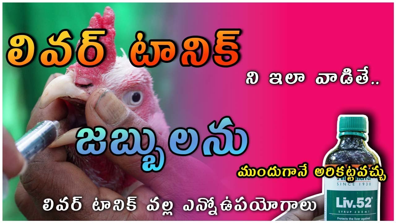 లివర్ టానిక్ ని ఇలా వాడితే చాలా రోగాలను ముందుగానే అరికట్టవచ్చు || Uses of liver tonic