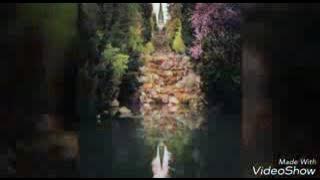 ابو شادي لديراني