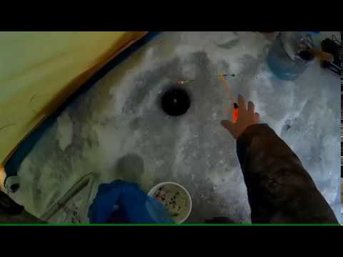 Зимняя поплавочная удочка для ловли леща. Устройство и оснащение