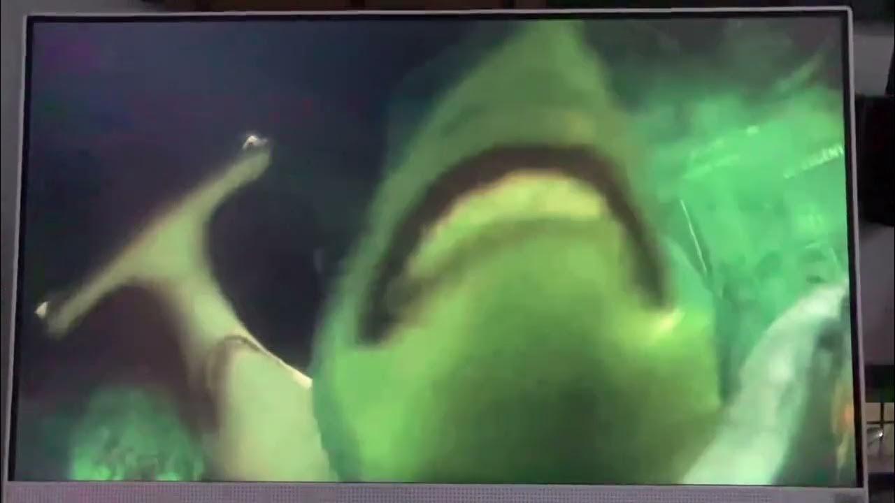 Finding nemo shark brace YouTube