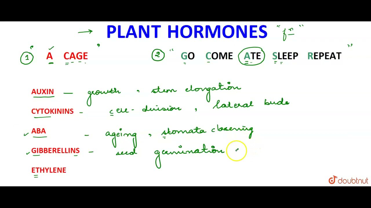 Easy Trick To Remember Plant Hormones | NEET 2020 | Mnemonics | 11 | TRIANGLES | BIOLOGY | INTER...