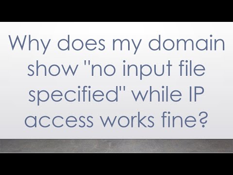 Why does my domain show "no input file specified" while IP access works fine?