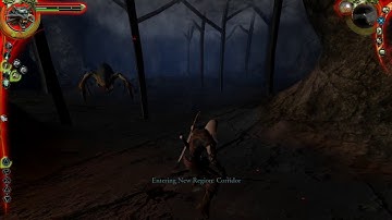 The Witcher 1 - Kikimore Queen