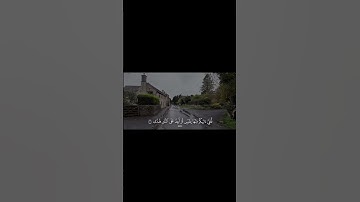 وَهَلْ أَتَاكَ حَدِيثُ مُوسَىٰ ✨️تلاوة خاشعة تريح قلبك 🤍 #المصحف #القرآن_الكريم #تلاوة #خشوع #آية