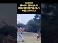 中国人が奈良の鹿さんをおっとばす❗️イカれた人種