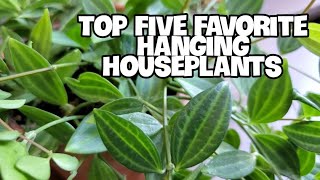 My Top Five Favorite Hanging/Trailing Houseplants | Easy Care Plant!