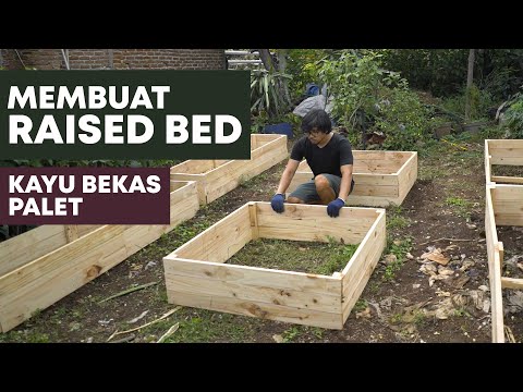 Video: Cara Membangun Tempat Tidur Bunga - Memulai Tempat Tidur Bunga Dari Awal - Cara Berkebun