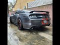 2016 Mustang GT Euro Spec Tail Lights!