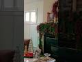 Christmas In July Christmas Holidaydecorvideos Christmasdecoration Christmasdecor Homedecor Christmas In July Christmas Holidaydecorvideos Christmasdecoration Christmasdecor Homedecor