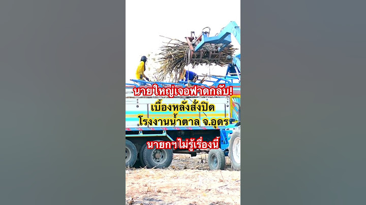 #โรงงานน้ำตาล #ทักษิณ #อ้อยไฟไหม้ #ชาวไร่อ้อย #แพทองธาร #นายกฯ #แพทองธารชินวัตร #เพื่อไทย #การเมือง