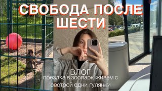 видео: совмещаю график 5/2 и пытаюсь жить 🤯| первое сентября без учебы картинка: совмещаю график 5/2 и пытаюсь жить 🤯| первое сентября без учебы