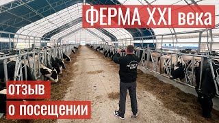 Отзыв о посещении молочной фермы
