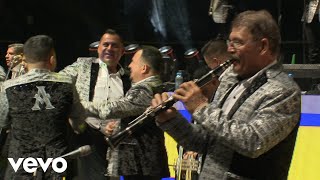 Vignette de la vidéo "La Arrolladora - La Suata (En Directo)"