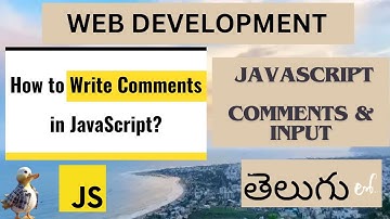Web Development JAVASCRIPT COMMENTS & INPUT DETAIL EXPLANATION in Telugu ( Lesson - 8 )