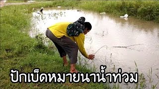 ปักเบ็ดหมายนานํ้าท่วม | บ่าวนัทวิถีใต้