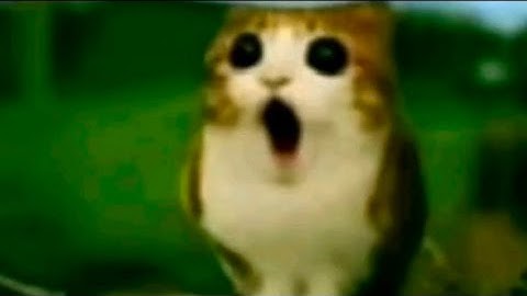 My first FlipaClip!! Wooowww