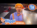 Blippi Belajar ABC Di Taman Trampolin | Blippi | Kartun Populer Anak Anak | Moonbug Kids Indonesia