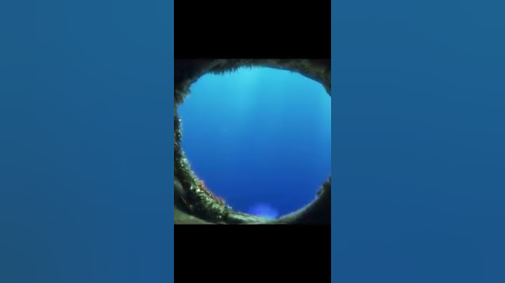 Sagawa1gou funny video 😂😂😂 | SAGAWA Best TikTok 2021 #shorts