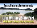 June 2023: Lake Whitney State Park Wildflowers, Playground &amp; Shoreline #TexasNature #Flowers #rvta
