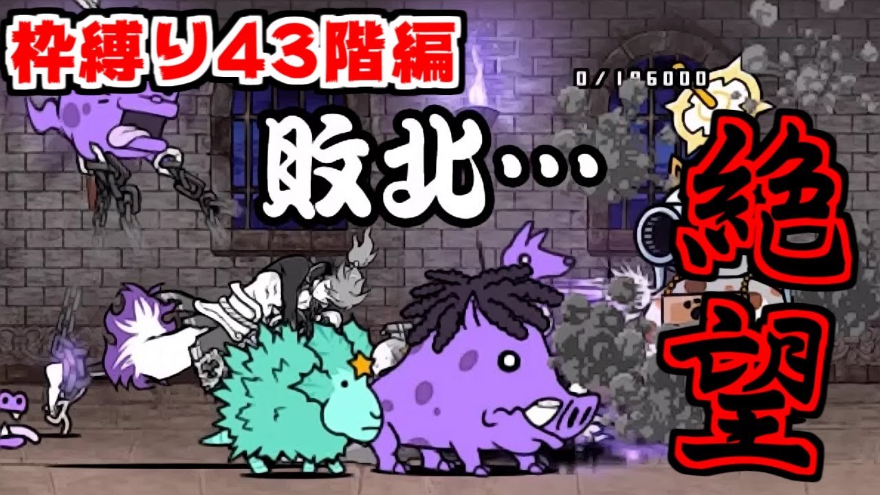 こーたです sddefault.jpg