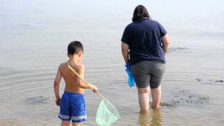 Sagamore Beach, Cape Cod Summer 2011
