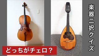 子供から大人まで楽しめる2択クイズで盛り上がろう！