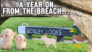 BOSLEY LOCKS - Take A Peaceful Walk With Me At Bosley Locks Canal...