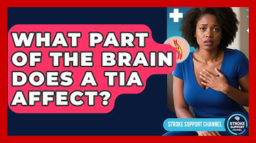 What Part Of The Brain Does A TIA Affect? - Stroke Support Channel