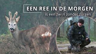 Download Lagu #133 - EEN REE IN DE MORGEN IS EEN ZWIJN ZONDER ZORGEN MP3