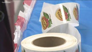 Georgia election officials accused of deleting evidence