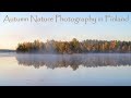 Autumn Nature Photography in Finland - Early Morning Walk with my Camera…