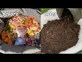 生ゴミを捨てないで！生ゴミの力で植物が劇的に育ちます！【生ゴミ堆肥の作り方】 / How to make kitchen waste compost that grows plants well