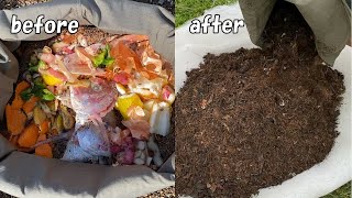 How to make kitchen waste compost that grows plants well