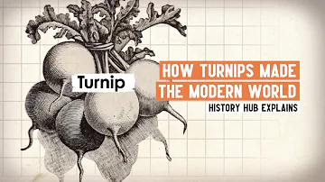 Co je neolitická zemědělská revoluce?