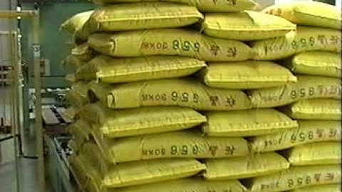 Fuji Robot   Bag Palletizing and Depalletizing