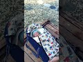 واوحينا الى ام موسى ان ارضعيه فاذا خفت عليه فالقيه في اليم واوحينا الى ام موسى ان ارضعيه فاذا خفت عليه فالقيه في اليم