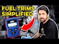 Short Term and Long Term Fuel Trims Explained