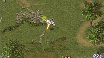 Conquer Online Freak HP