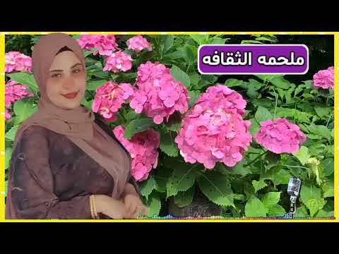 ابن اختي عمل الي عمري ما توقعته قصه رائعه من روائع الزمن الجميل للعبره والموعظه