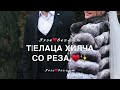 Песня для парня/мужа на день рождения/ц1ийн-да