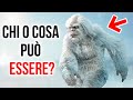 Gli Scienziati Hanno Finalmente Svelato Il Mistero Dello Yeti