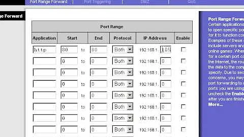 Make A Website Publicly accessible with Port Forwarding Linksys Router