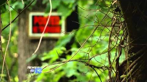 Group Petitions To Save South Slope Trees