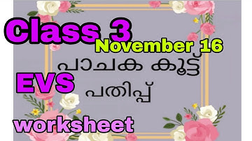 Class 3 EVS worksheet November 16