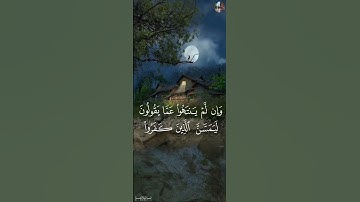 لَّقَدۡ كَفَرَ ٱلَّذِينَ قَالُوٓاْ إِنَّ ٱللَّهَ ثَالِثُ ثَلَٰثَةٖۘ - للقارئ شريف مصطفى